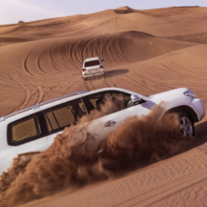 Desert Safari Desert Safari
