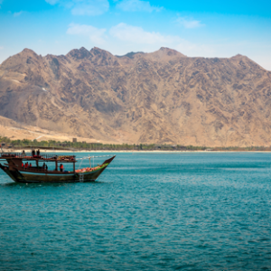 Dibba Day Out Dibba Day Out